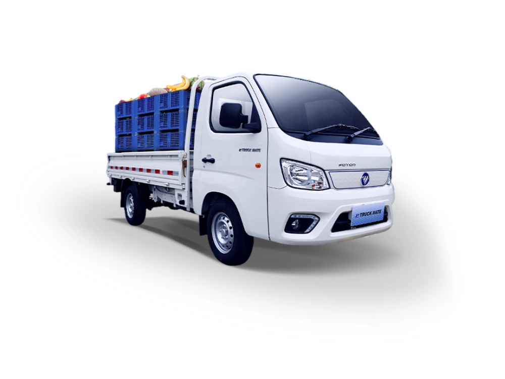 Foton eTruckmate Archive image 