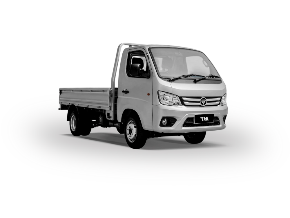 Foton Truckmate Archive image 