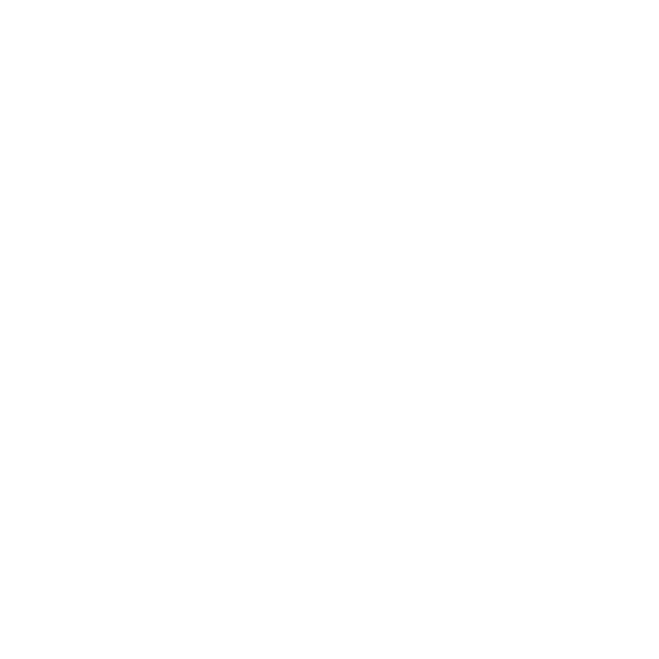 Foton South africa Logo
