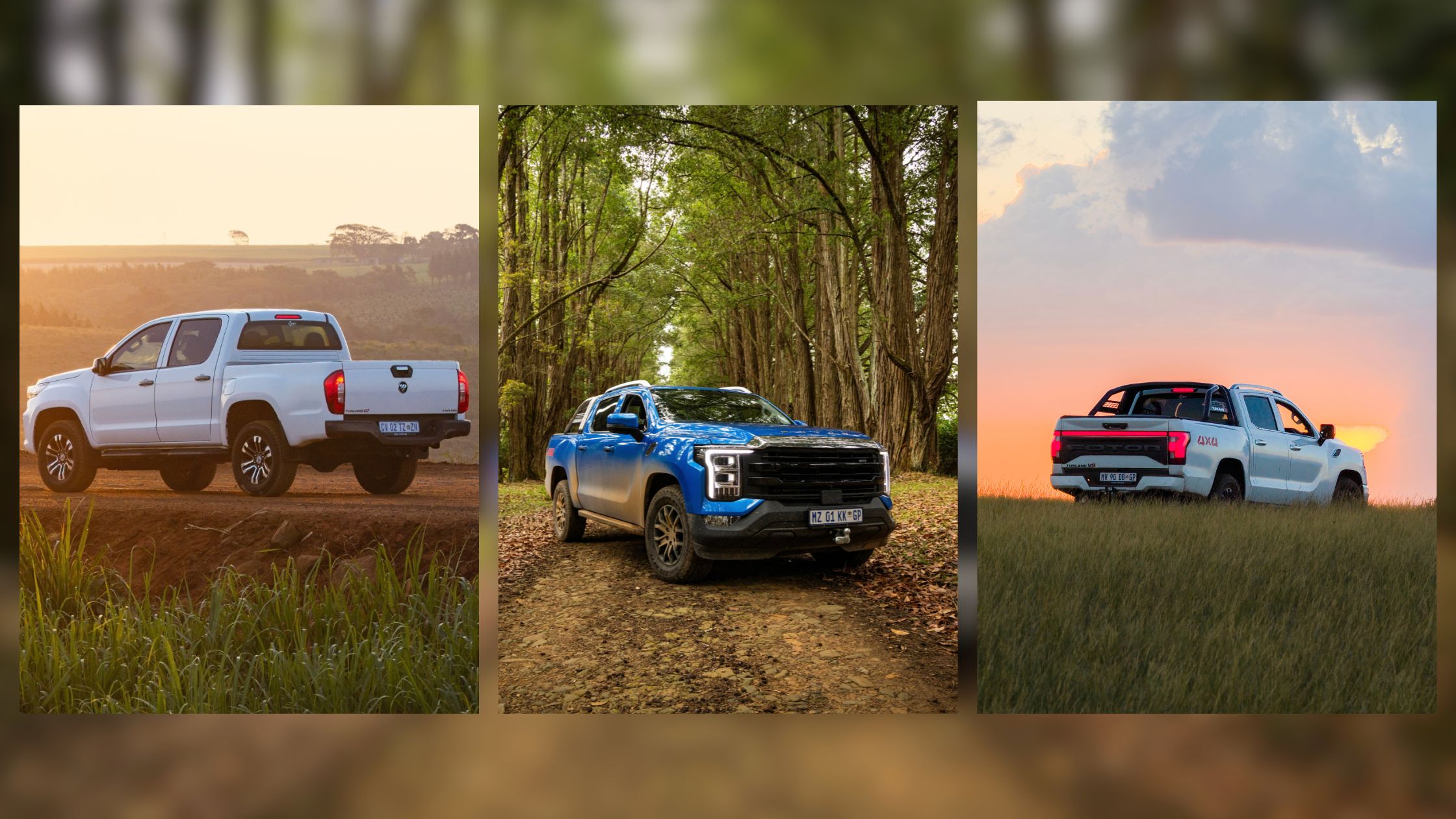Which Foton Fits Your Life